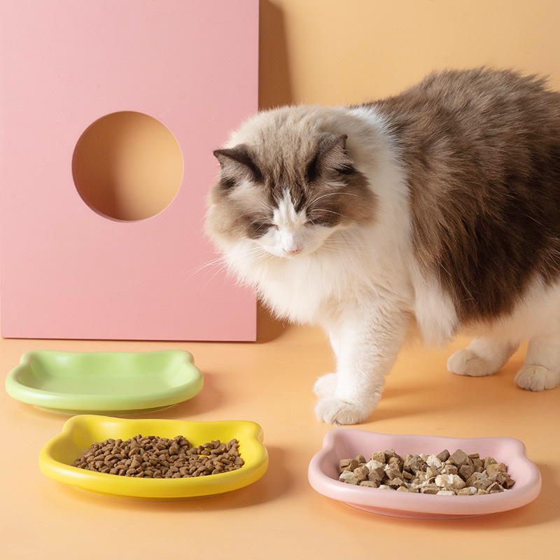 Cute Cat Shape Pet Snack Plate - Food Snacks Options review and price