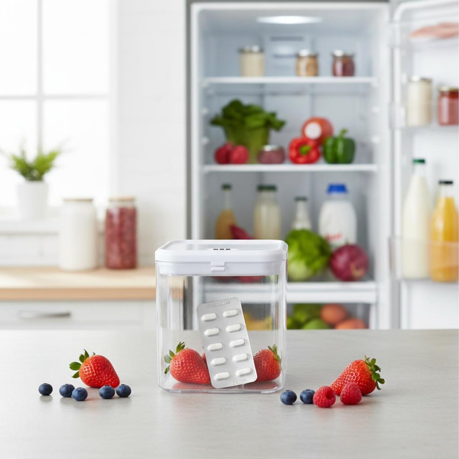 Clear Lockable Box Versatile L - Food & Snacks Pdf review and price